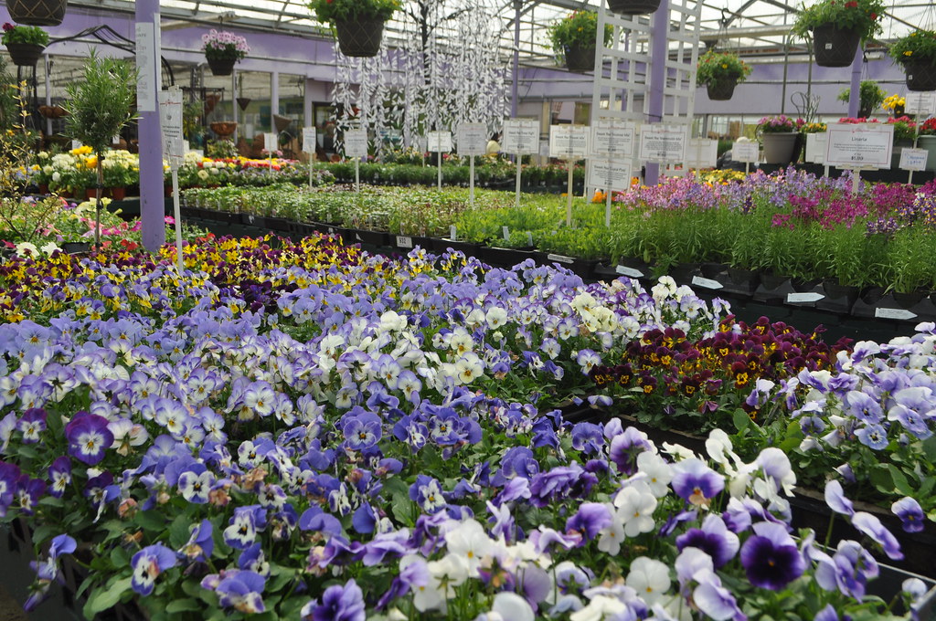 5 Great Gardening Centres Minter Gardens Country Store Flickr