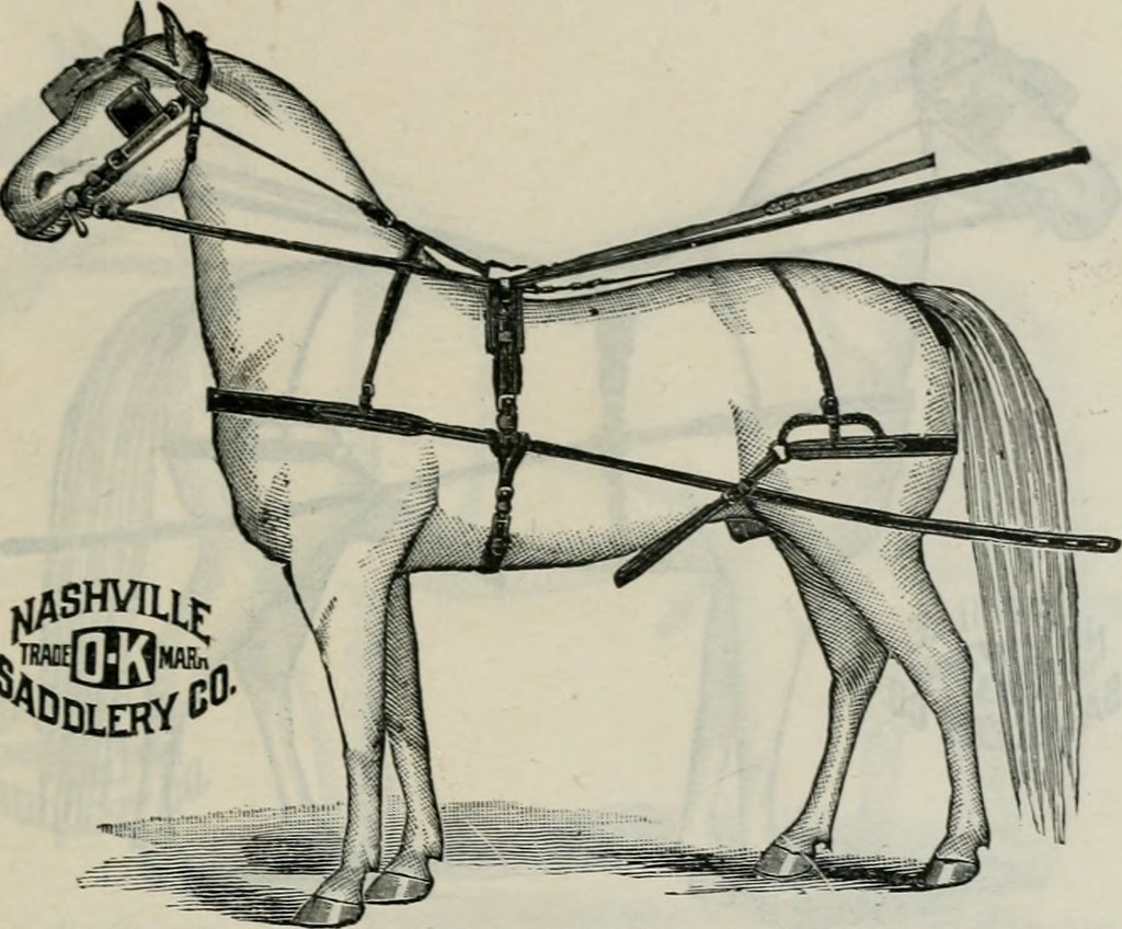 Understanding Martingales A Comprehensive Guide to Using this