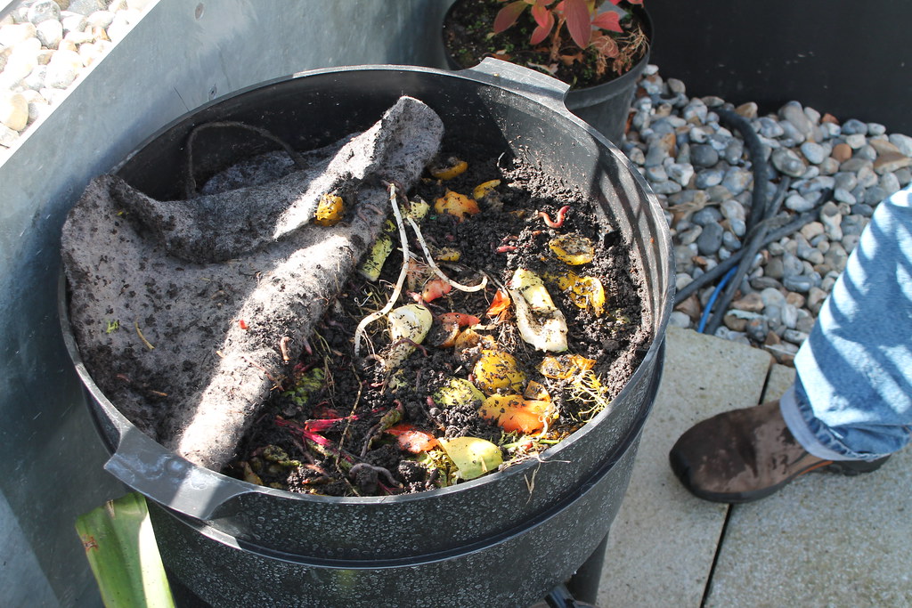 Worm bin a photo on Flickriver