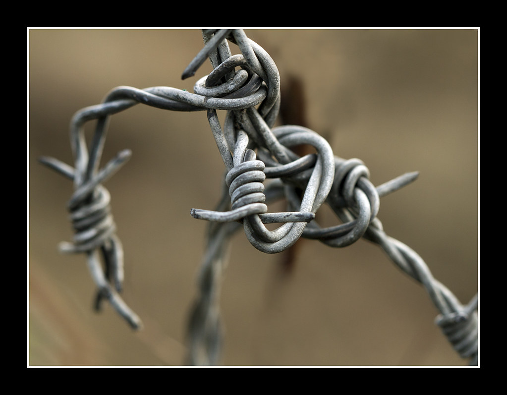 9 Ways to Untie Shoelace or String Knots wikiHow