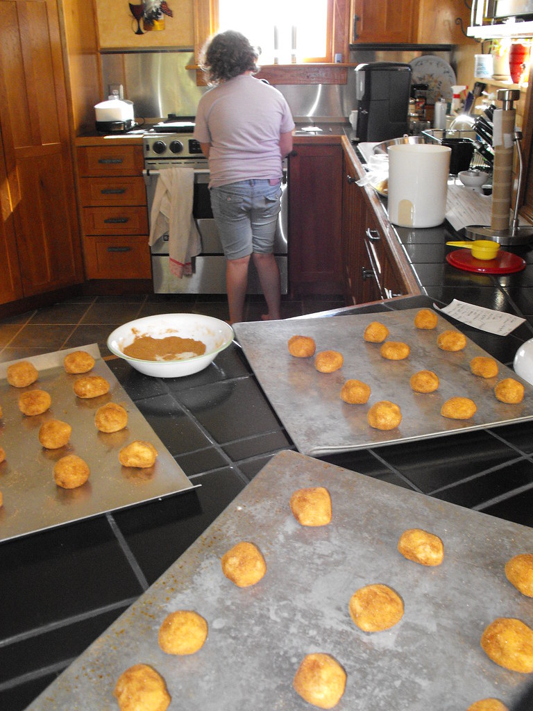 Is the oven hot enough? strider_1776 Flickr