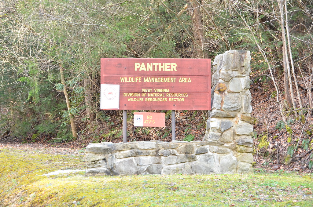 Panther, West Virginia Shoot Flickr