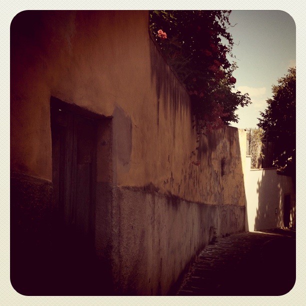 IMG_0561 Moira Allen Flickr