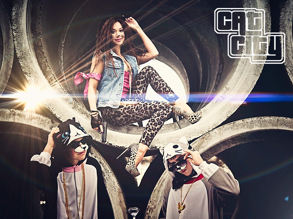 CatCity_Wallpaper_3_iPad Shot on a Canon 5D with 24105mm… Flickr