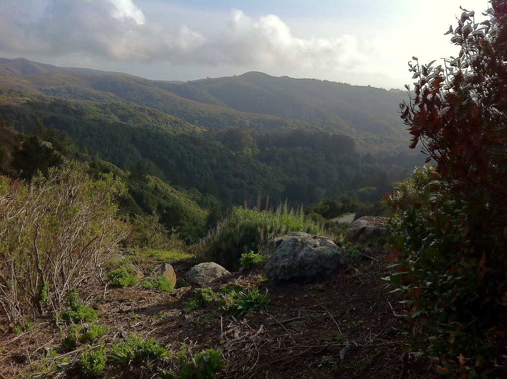 Dipsea Trail Run Flickr