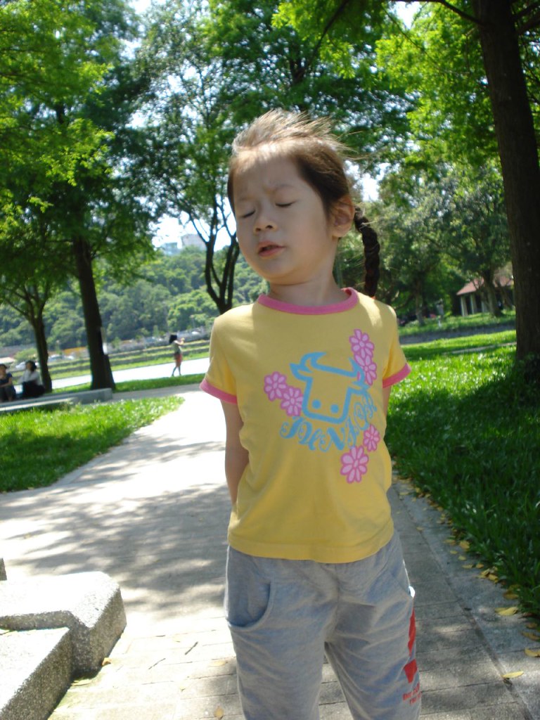 DSC08327 peggy cheng Flickr