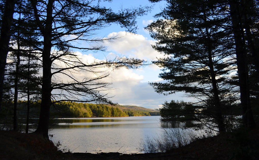 Quabbin Reservoir Off Gate 16 in Shutesbury, Massachusetts… Dan