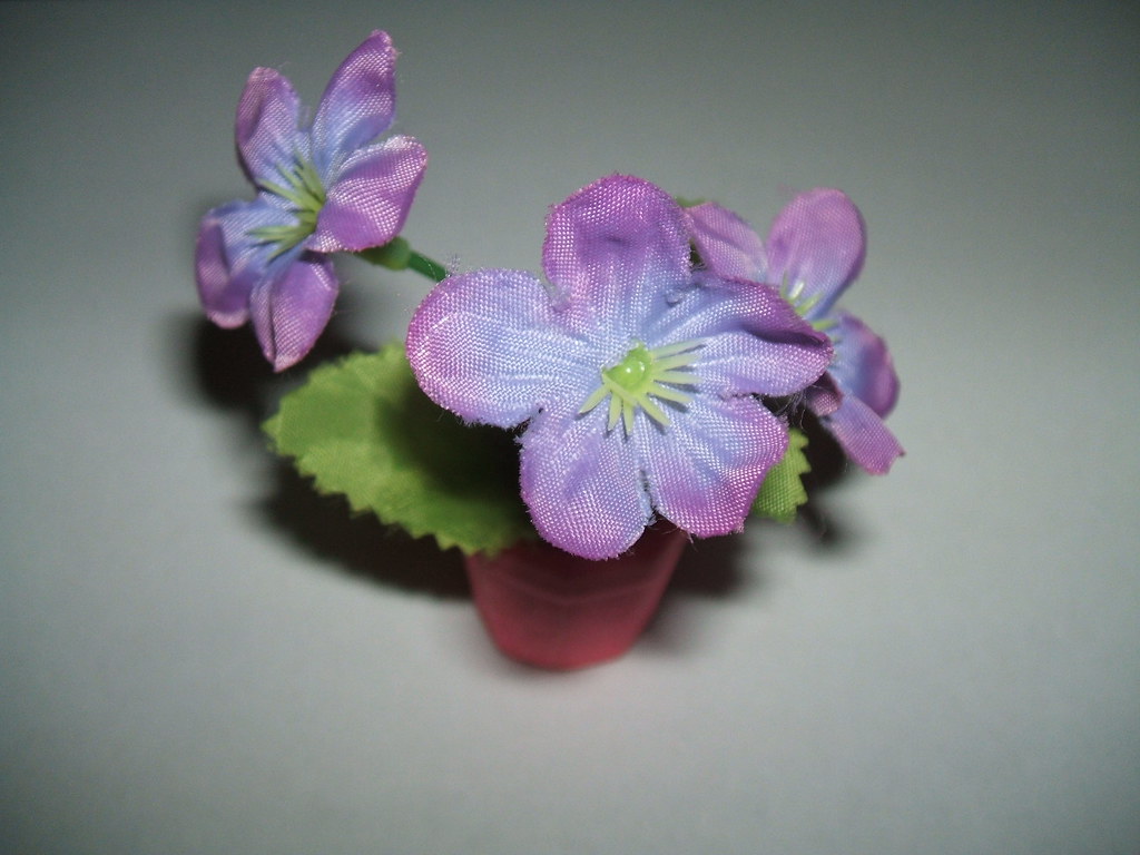 Flowers & Plants eraser set Flickr