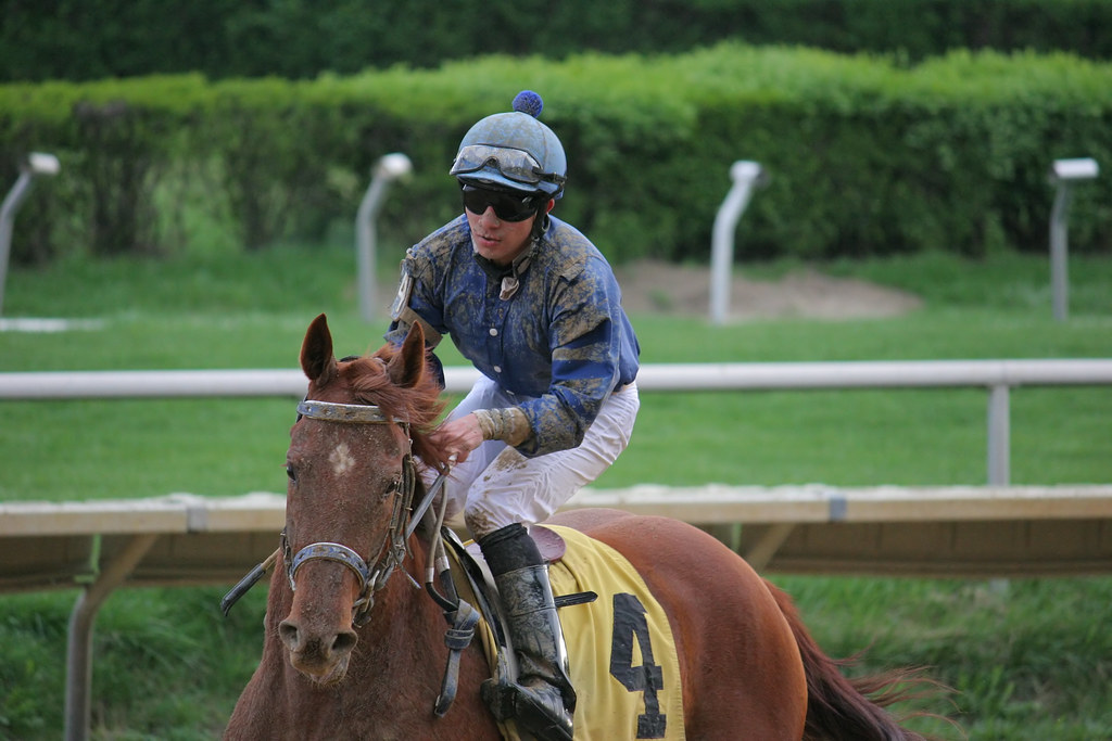 Hawthorne Race Track Cicero, IL, March 25, 2012 Jim Eichstedt Flickr