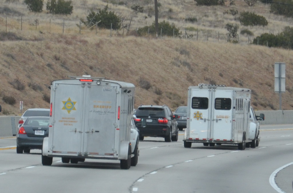 LOS ANGELES COUNTY SHERIFF'S DEPARTMENT (LASD) MOUNTED ENF… Flickr
