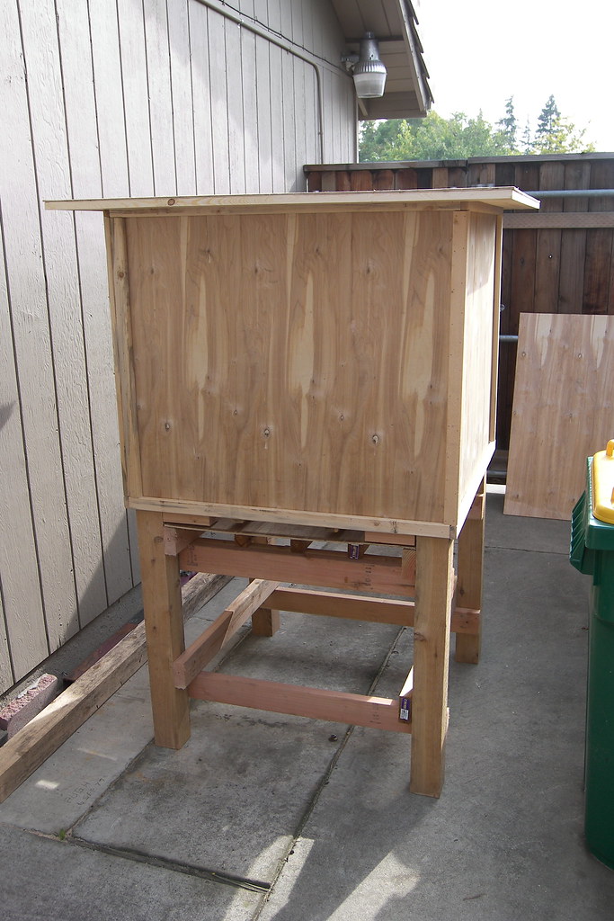 Birmingham roller pigeon kit box Birmingham roller pigeon … Flickr