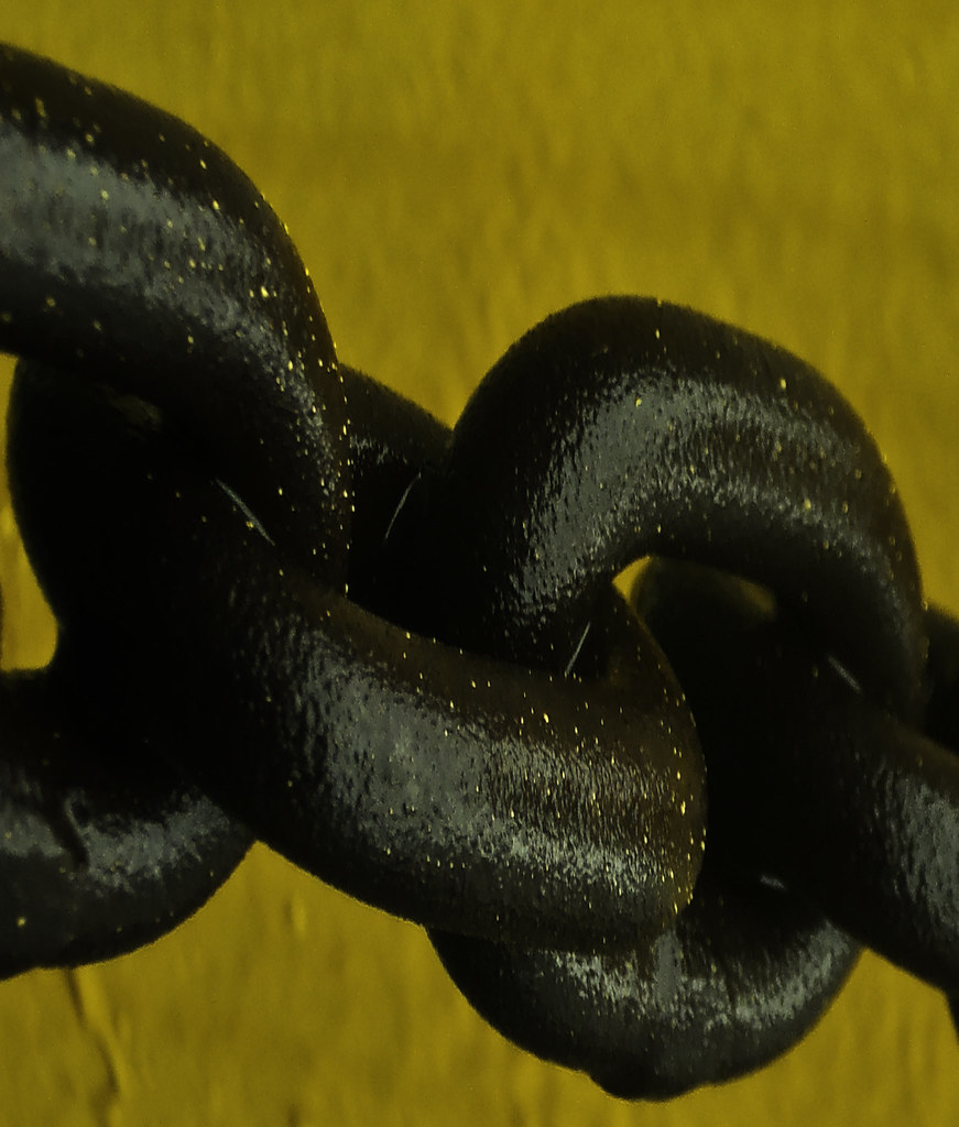 stuck OLYMPUS DIGITAL CAMERA 12story Flickr