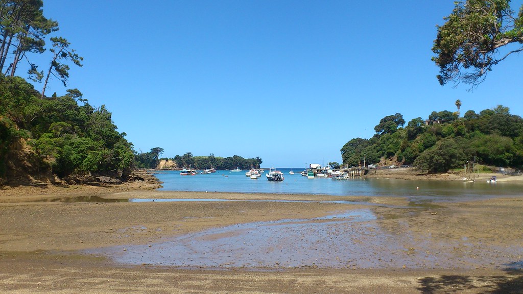 the coast near Leigh, New Zealand Darren Foreman Flickr