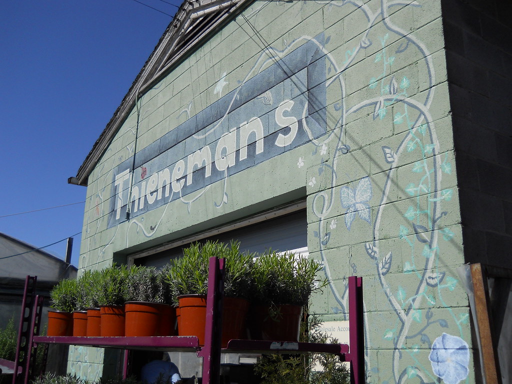 Thieneman's greenhouse Louisville, Kentucky Dianna Ott Flickr