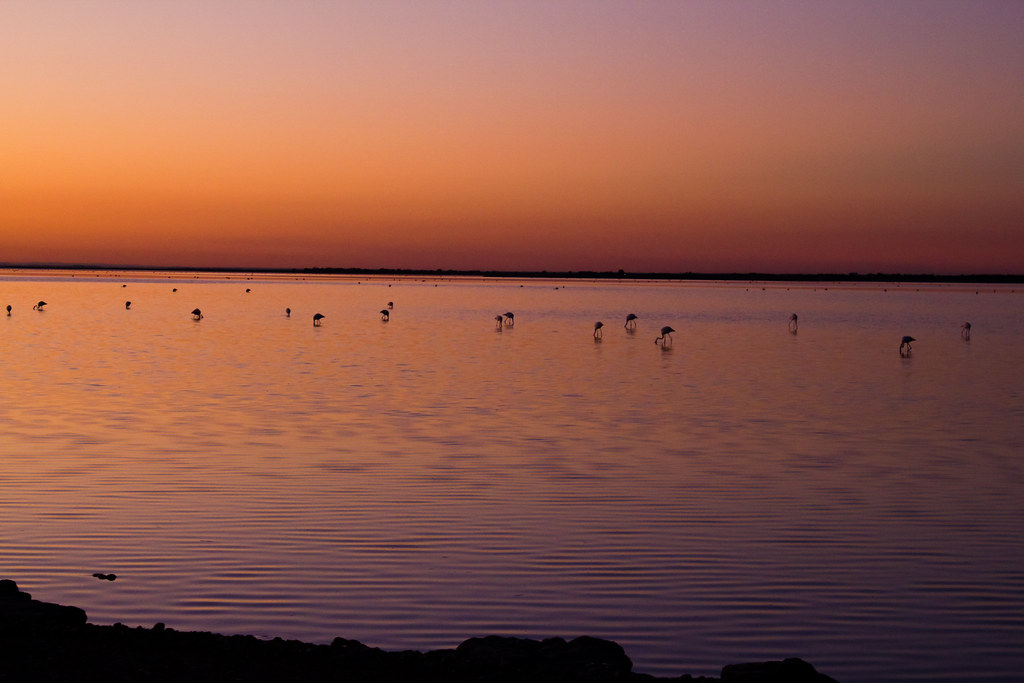 Flament Rose Coucher de soleil/Sunset SylGr Flickr