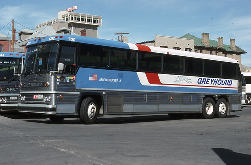 +55 El Paso Texas Greyhound