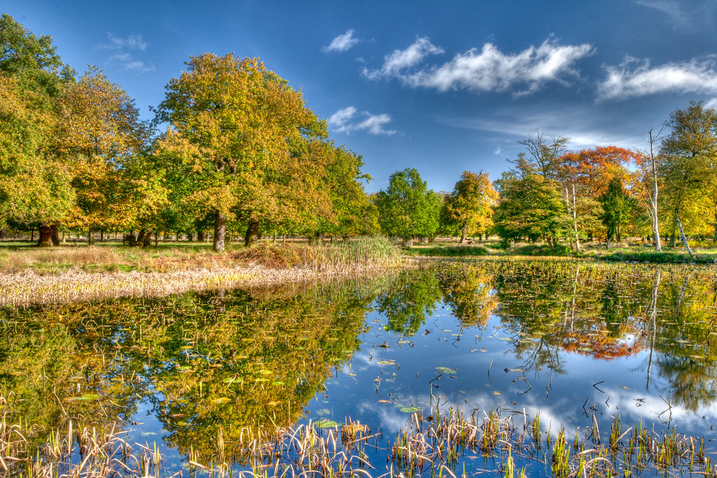 Dunham Massey lake Dunham Massey lake © Steve Gill www… Flickr