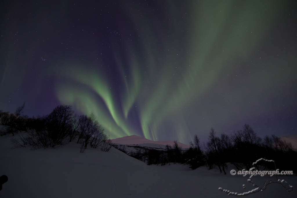 Northern Lights Last night near our home in Wasilla, Alask… Flickr