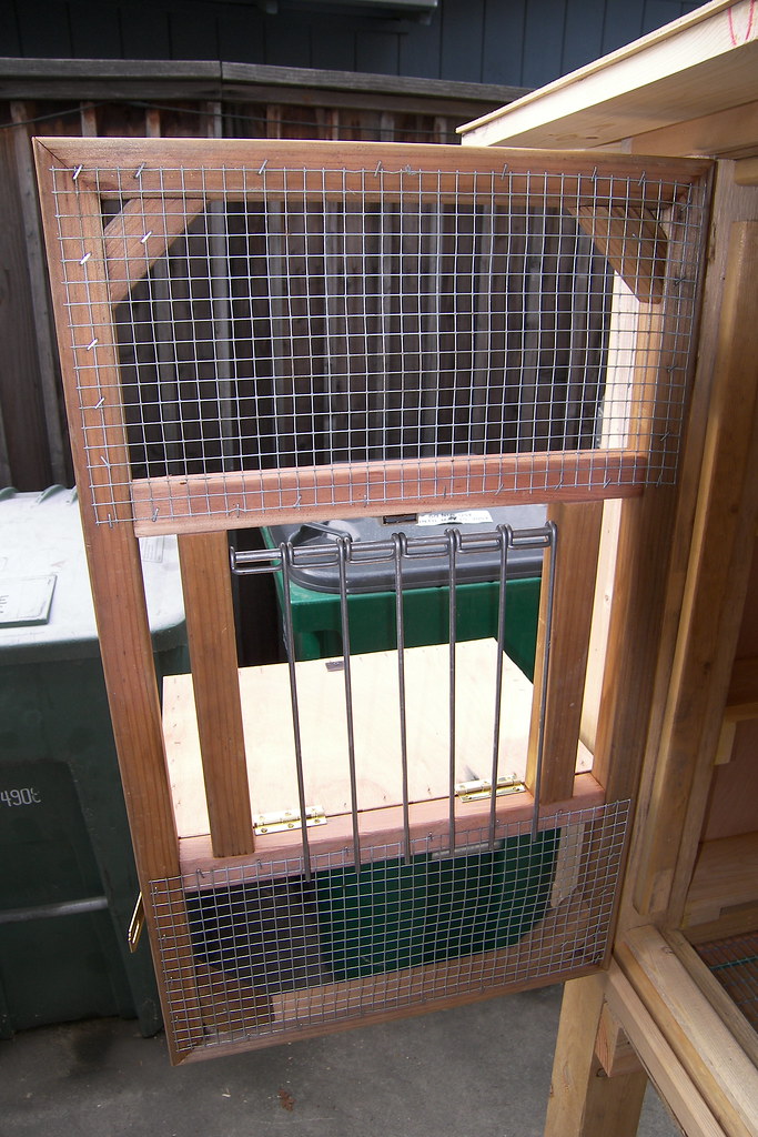 Birmingham roller pigeon kit box Birmingham roller pigeon … Flickr