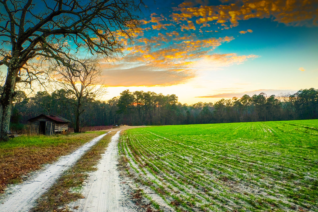 Sunset in the Sandhills The Sandhills of North Carolina ar… Flickr