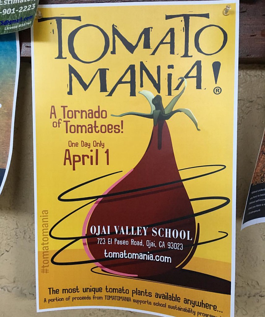 Ojai, California, Tomato Mania at Ojai Valley School (www.… Flickr