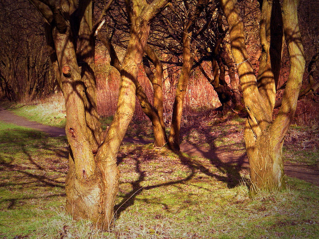 12 o clock hadow Leesbrook park Oldham gordon simpson Flickr