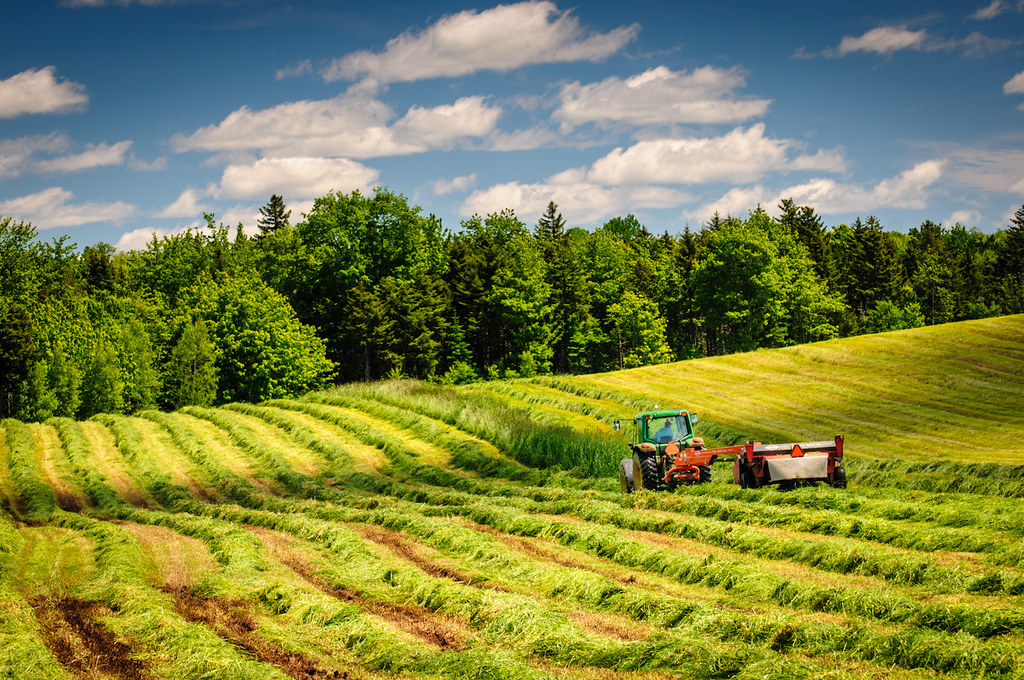 Cutting hay, Nova Scotia A farmer makes his way back and f… Flickr