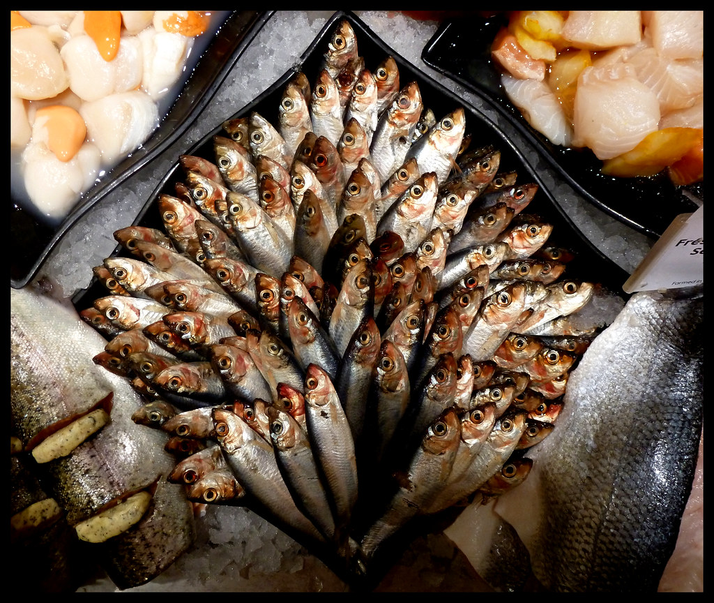 Sprats Displayed on the fish counter of our local Waitrose… Flickr