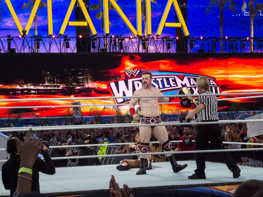 WWE Wrestlemania 28 - Sheamus vs Daniel Bryan | WWE World He… | Flickr