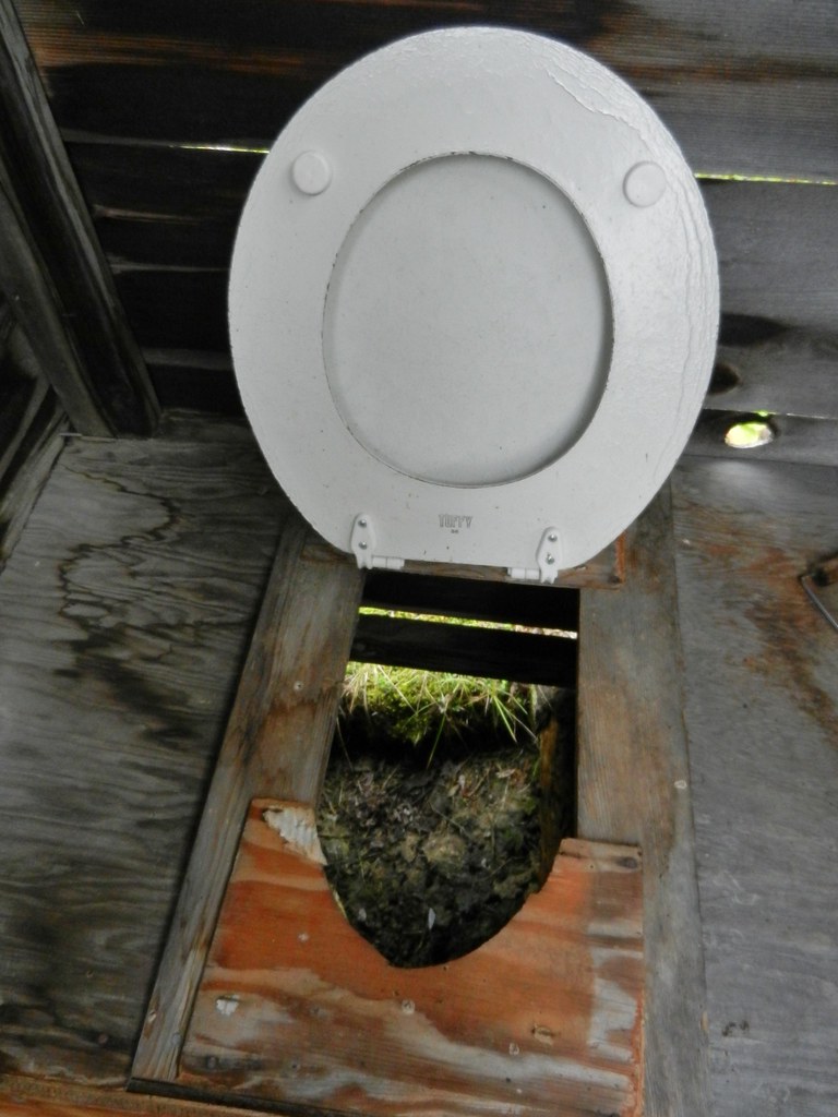 Toilet It doesn't look so bad down the hole. There seems t… Flickr