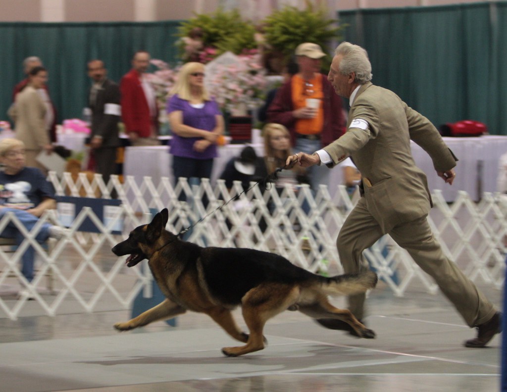 THU 04/12/12 Valdosta Kennel Club Best In Show “Photo Album” Flickr