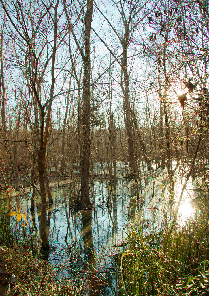 Setting Sun River Mountain Park, Little Rock, AR Bob Simmons Flickr