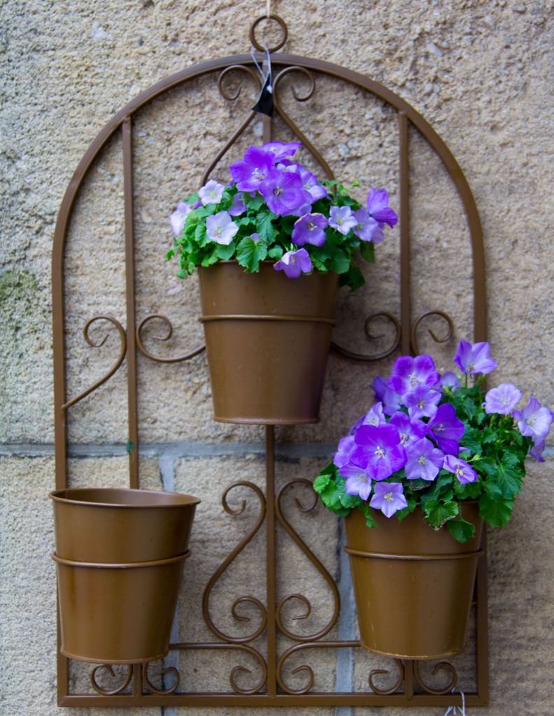 Wall Flowers Taken in Hebden Bridge 26/02/2012. RussellHarryLee