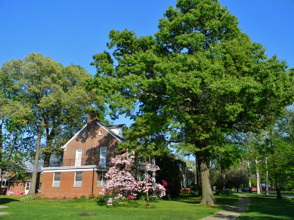 On Dunglow Road In Dundalk DSCN0226 My blog "Blue Skies Ov… Flickr