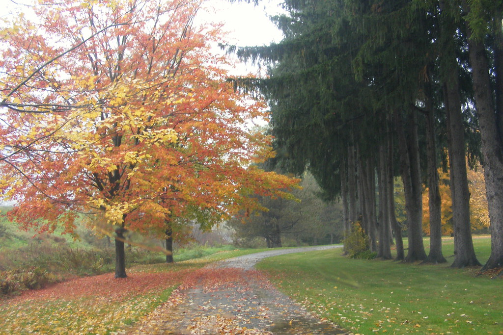 Arlington and Bennington VT with Peter 2008 Flickr