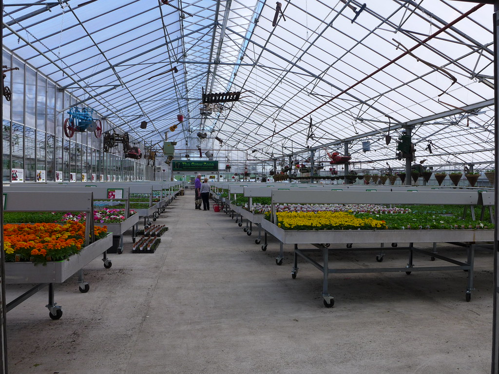 Inside the Greenhouses 2 Lil Shepherd Flickr