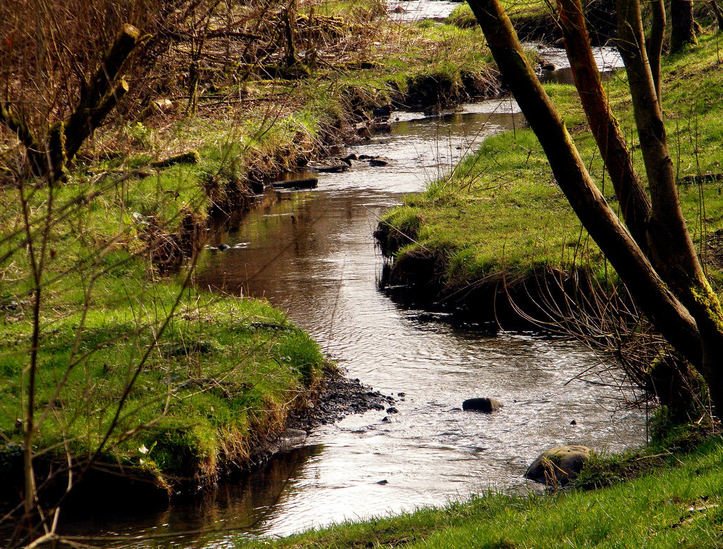 Meandering Medlock River Medlock Leesbrook park Oldham gordon