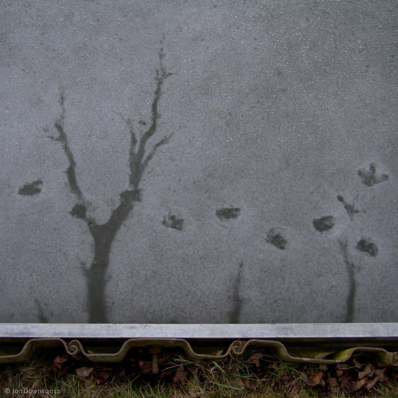 Elevation of Glenwoods, Newport Pagnell MK16 0ND, UK Topographic Map