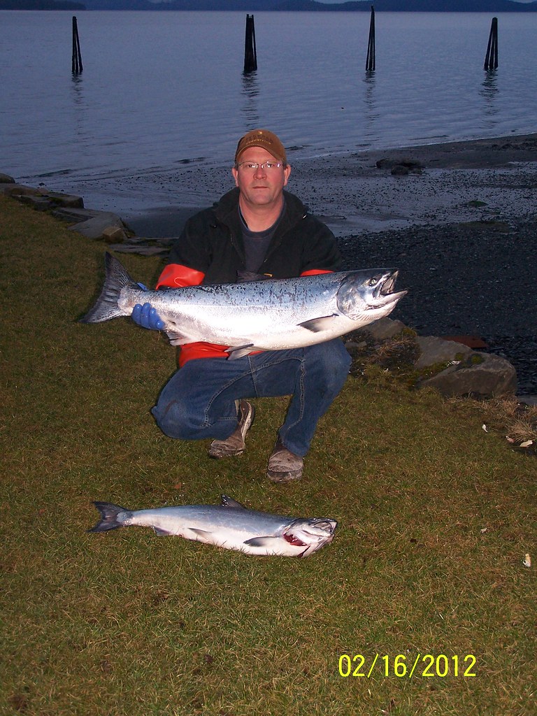 Winter King Salmon in Wrangell, Alaska Helen Keller Flickr