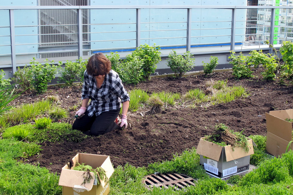 Hard Working Gardener Christopher Porter Flickr
