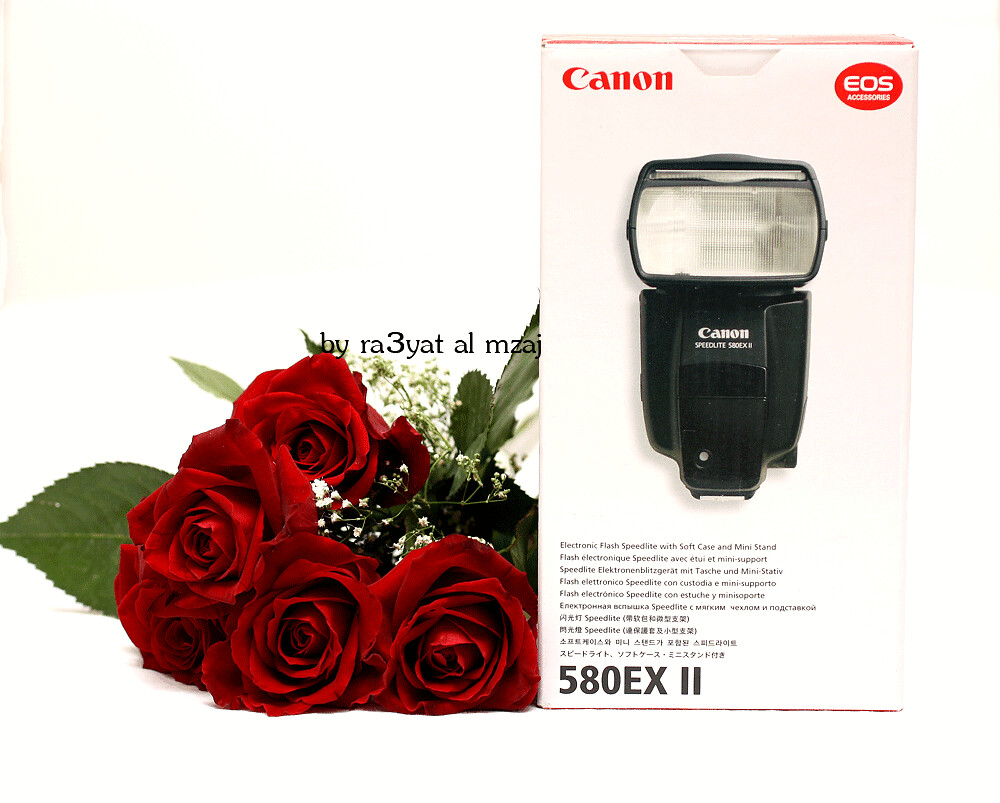 Canon Speedlite 580EX II Flash sarah *! qatar Flickr