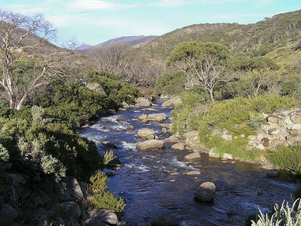 Thredbo River, Kosciuszko National Park Thredbo River. For… Flickr