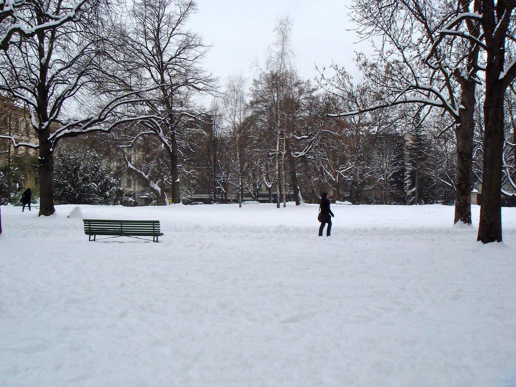 Snow in Geneva Snow in Geneva Patrick Nouhailler Flickr