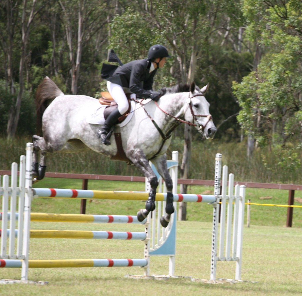sydney equestrian centre 007 D & D Photography Flickr