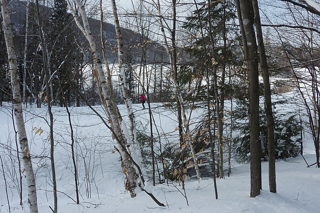 Snowshoeing in Gatineau Park snullr Flickr