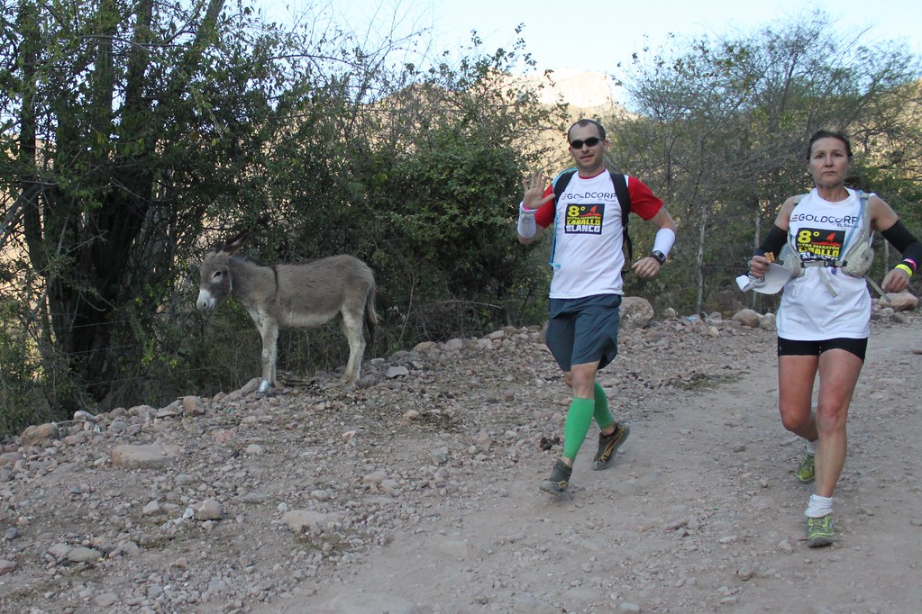 Mexico Copper Canyon Ultra Marathon in Urique Eli Duke Flickr