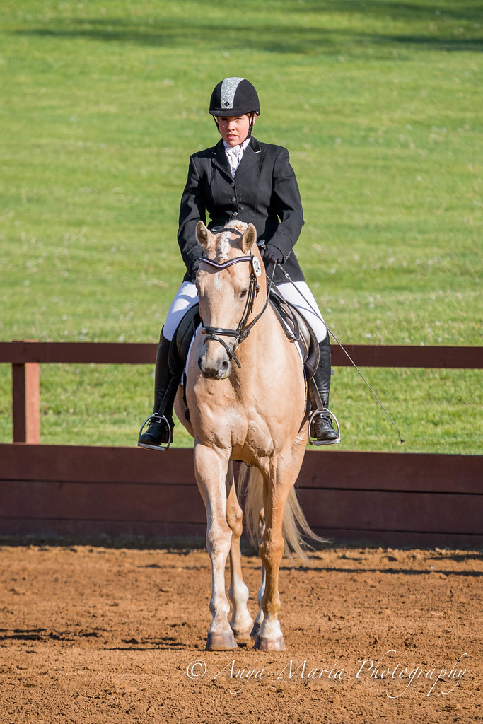 Otter Creek Dressage anyaotterson Flickr