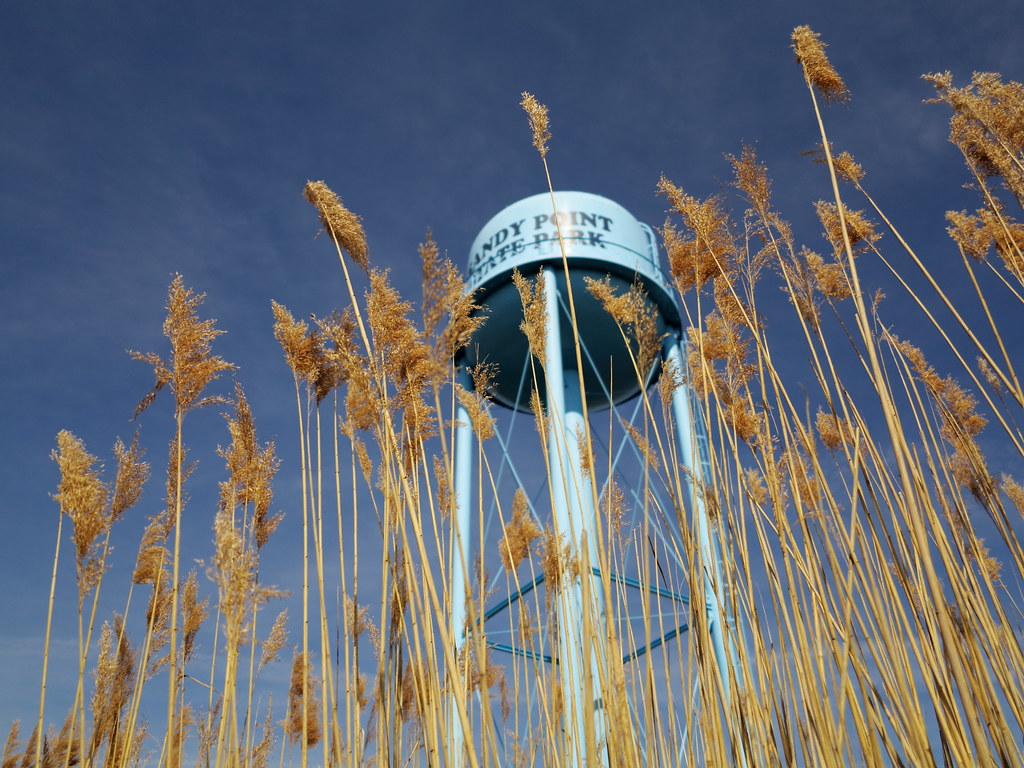 Sandy Point Water Tower and Reeds Another view of the icon… Flickr