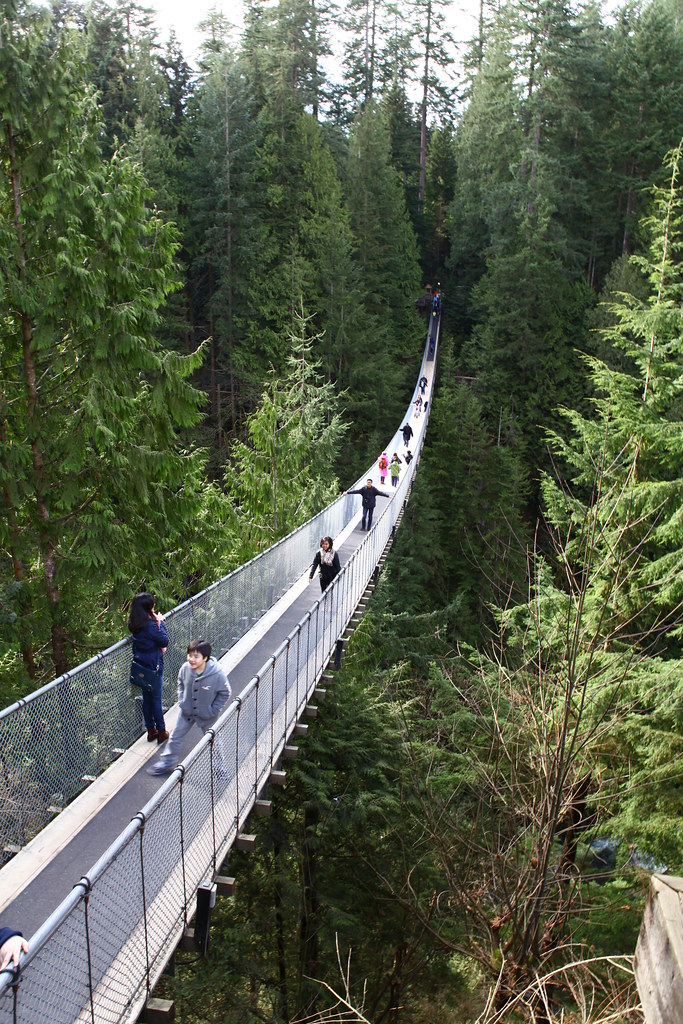 Capilano Suspension Bridge 2012 Winter GoToVan Flickr