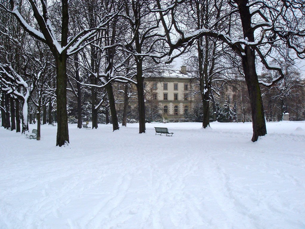 Snow in Geneva Snow in Geneva Patrick Nouhailler Flickr